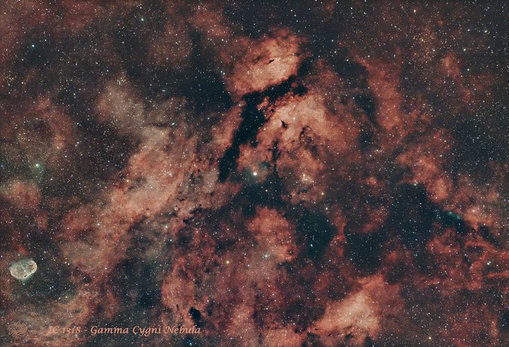 IC1318