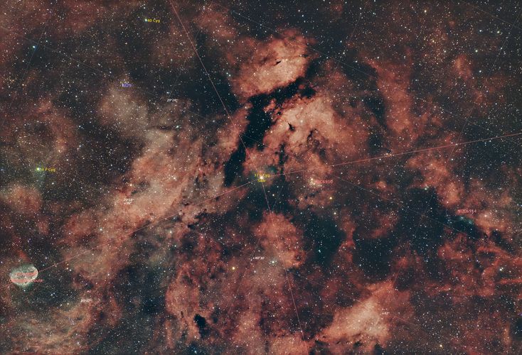 IC 1318 annotated field